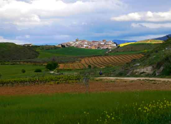 Cirauqui. Vista panoramica mentre si arriva nel piccolo paese