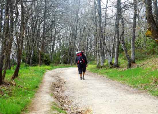 Verso i Montes de Oca